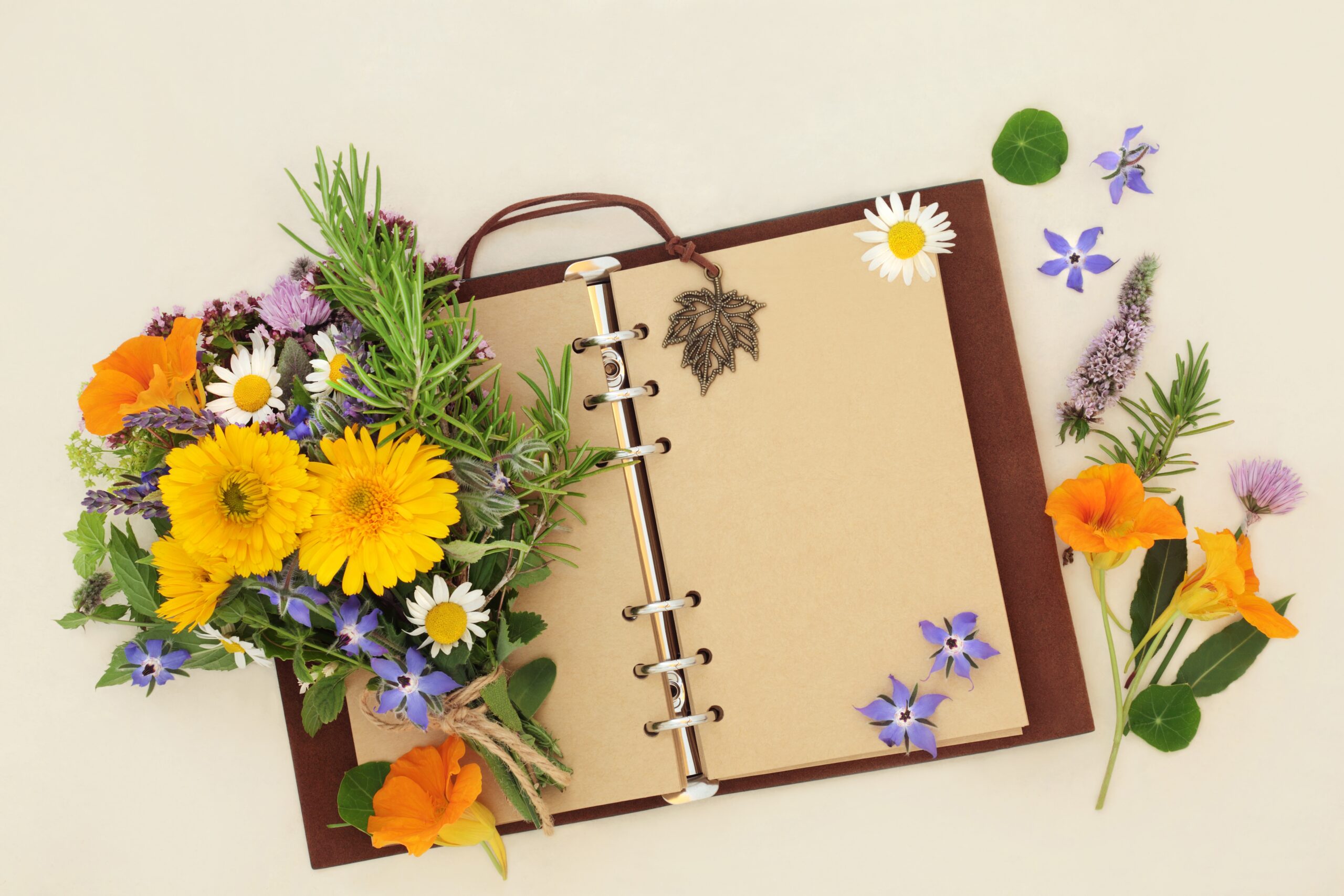 Featured Image for Make a Plan