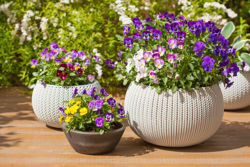 Featured Image for Spring Container Planting