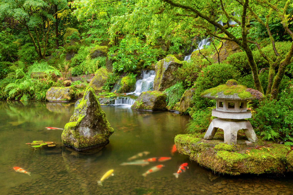 Featured Image for Designing a Japanese Garden